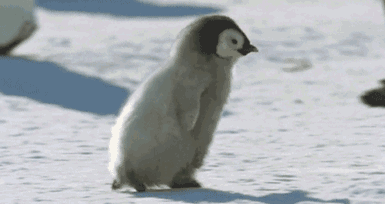 河南任性直降13℃！速凍模式已開啟！